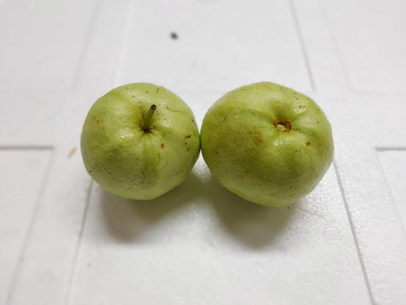 Guava 番石榴 [1kg]