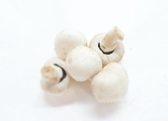 White button mushroom  白蘑菇 [300g]