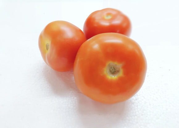 Tomato 番茄 [500g]