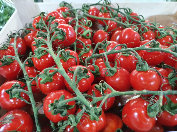 Strabena Cherry Tomatoes 草莓番茄 [500g]